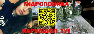 ешки Новозыбков