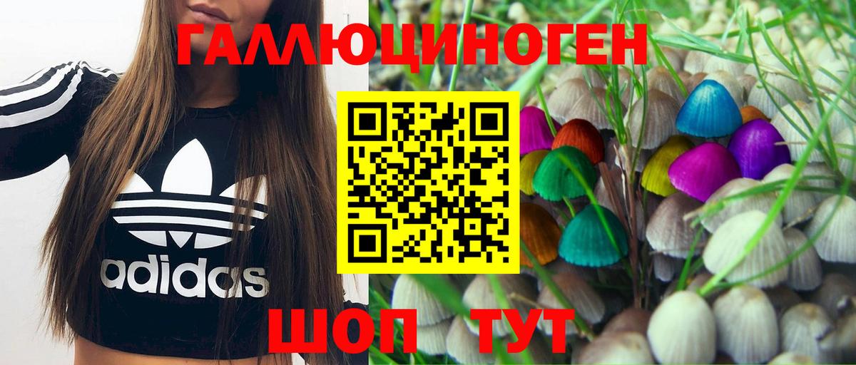 Курган  Псилоцибиновые грибы мухоморы  Псилоцибиновые грибы прущие грибы  Вход с VPN 