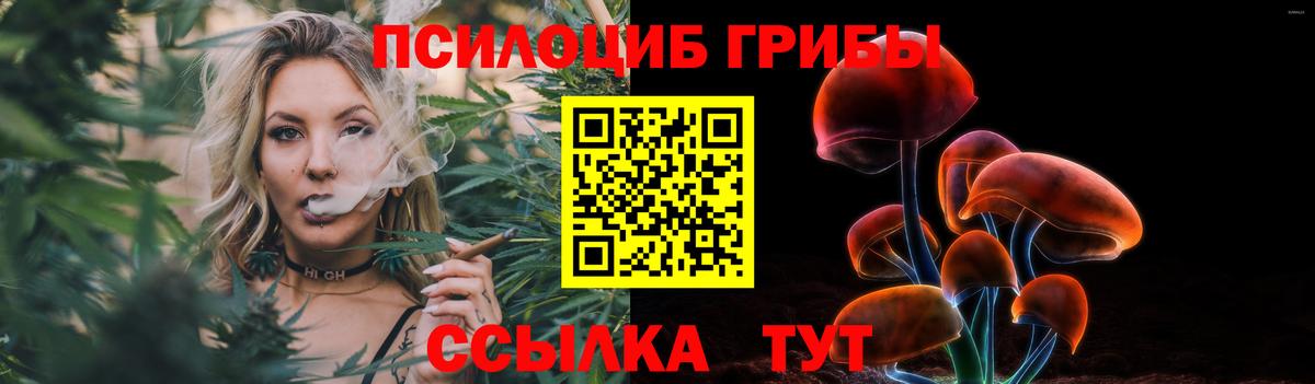 Галлюциногенные грибы Psilocybine cubensis Курган