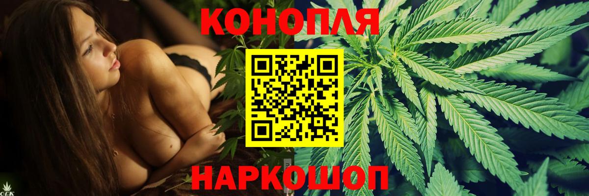 Бошки Шишки Bruce Banner  Канабис ГИДРОПОН  Вход с VPN  Курган 